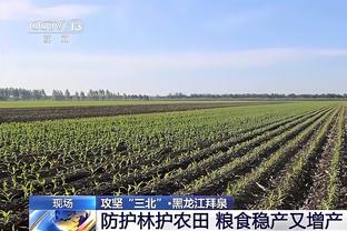 哈曼谈拜仁选帅：我现在倾向于德米凯利斯会接手